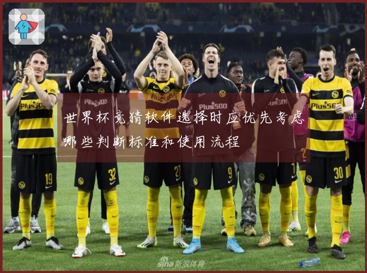 世界杯竞猜软件选择时应优先考虑哪些判断标准和使用流程