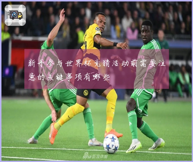 新手参与世界杯竞猜活动前需要注意的关键事项有哪些