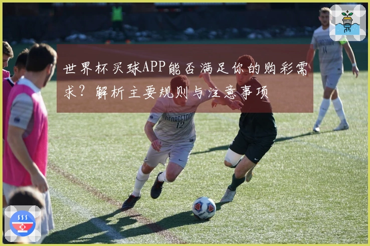 世界杯买球APP能否满足你的购彩需求？解析主要规则与注意事项