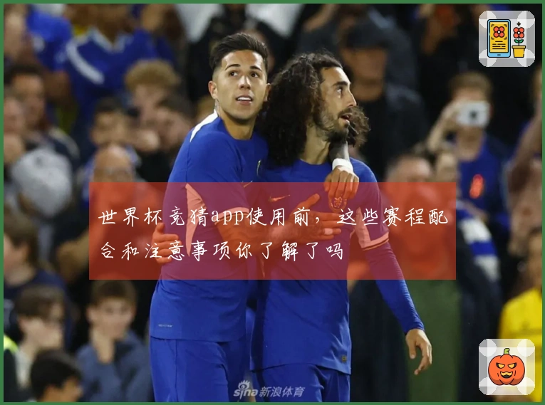 世界杯竞猜app使用前，这些赛程配合和注意事项你了解了吗
