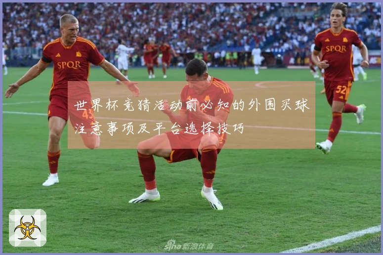 世界杯竞猜活动前必知的外围买球注意事项及平台选择技巧