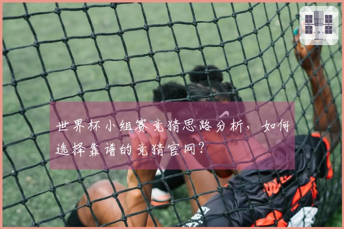 世界杯小组赛竞猜思路分析，如何选择靠谱的竞猜官网？