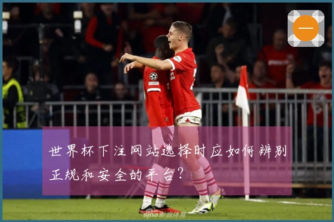 世界杯下注网站选择时应如何辨别正规和安全的平台?