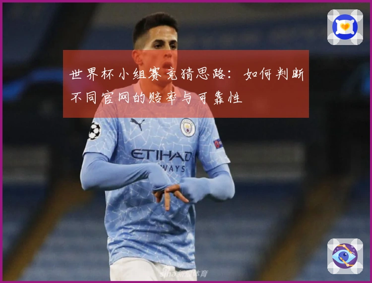 世界杯小组赛竞猜思路：如何判断不同官网的赔率与可靠性