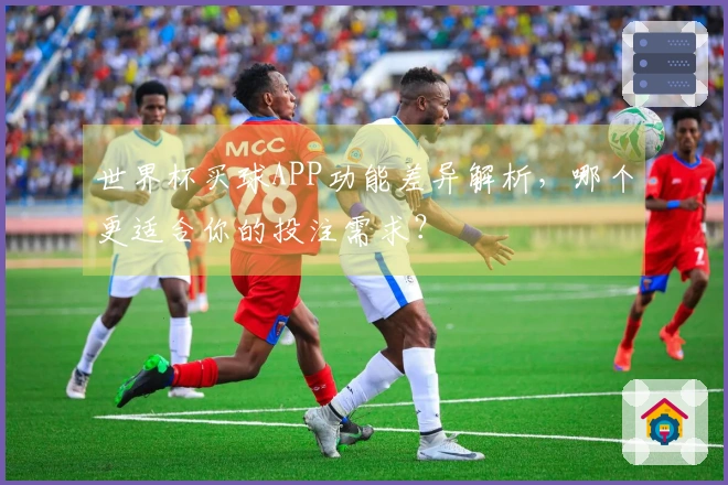 世界杯买球APP功能差异解析，哪个更适合你的投注需求？