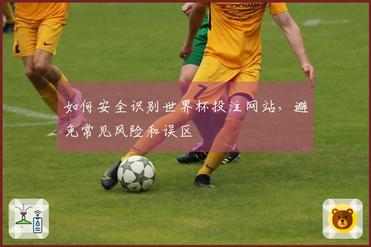 如何安全识别世界杯投注网站，避免常见风险和误区
