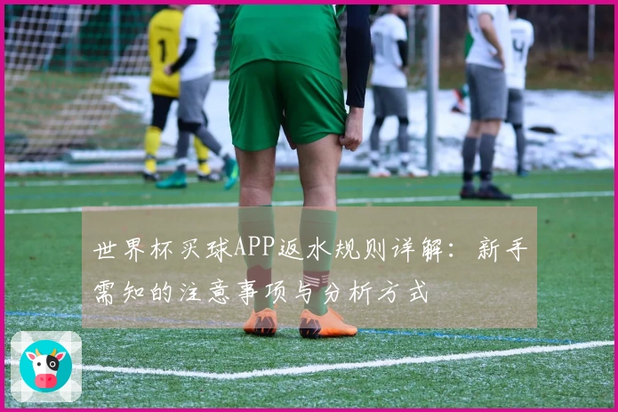 世界杯买球APP返水规则详解：新手需知的注意事项与分析方式