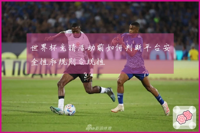 世界杯竞猜活动前如何判断平台安全性和规则合规性