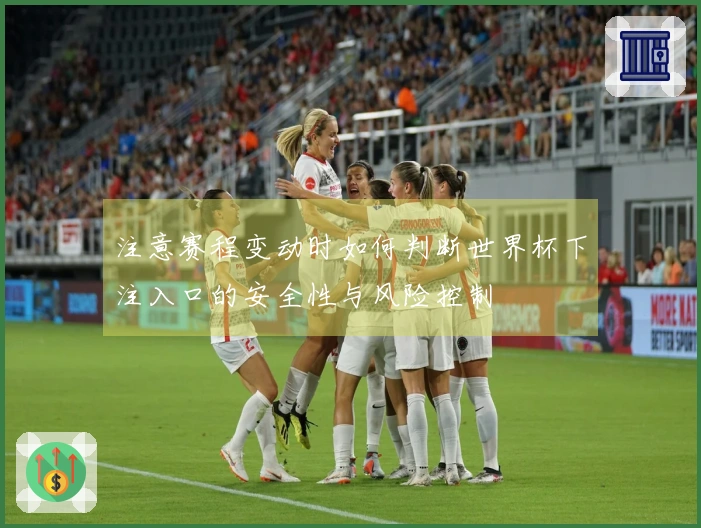 注意赛程变动时如何判断世界杯下注入口的安全性与风险控制