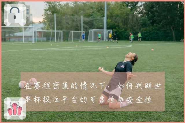 在赛程密集的情况下，如何判断世界杯投注平台的可靠性与安全性