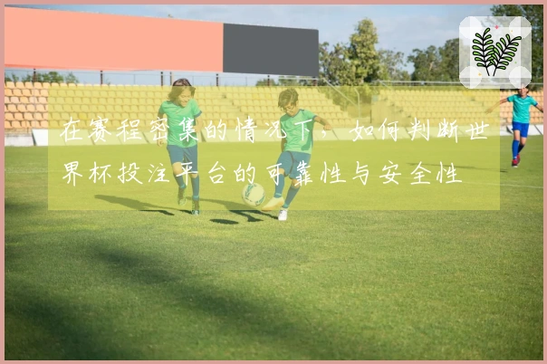 在赛程密集的情况下，如何判断世界杯投注平台的可靠性与安全性