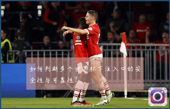 如何判断多个世界杯下注入口的安全性与可靠性？