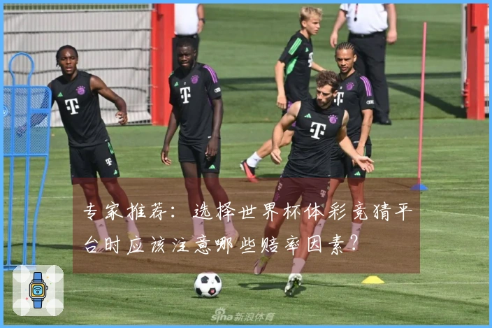 专家推荐：选择世界杯体彩竞猜平台时应该注意哪些赔率因素？