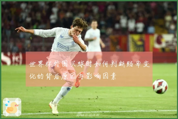 世界杯外围买球时如何判断赔率变化的背后原因与影响因素