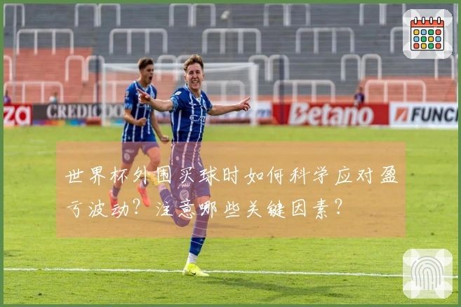 世界杯外围买球时如何科学应对盈亏波动？注意哪些关键因素？