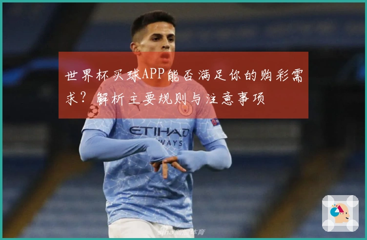 世界杯买球APP能否满足你的购彩需求？解析主要规则与注意事项