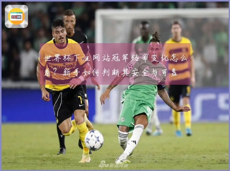 世界杯下注网站冠军赔率变化怎么看？新手如何判断其安全与可靠