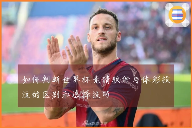 如何判断世界杯竞猜软件与体彩投注的区别和选择技巧