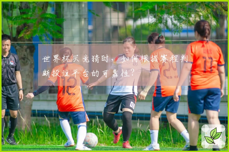 世界杯买竞猜时，如何根据赛程判断投注平台的可靠性？