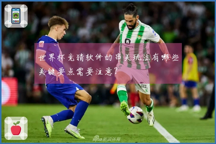 世界杯竞猜软件的串关玩法有哪些关键要点需要注意？