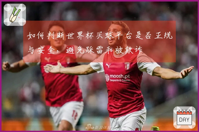 如何判断世界杯买球平台是否正规与安全，避免踩雷和被欺诈