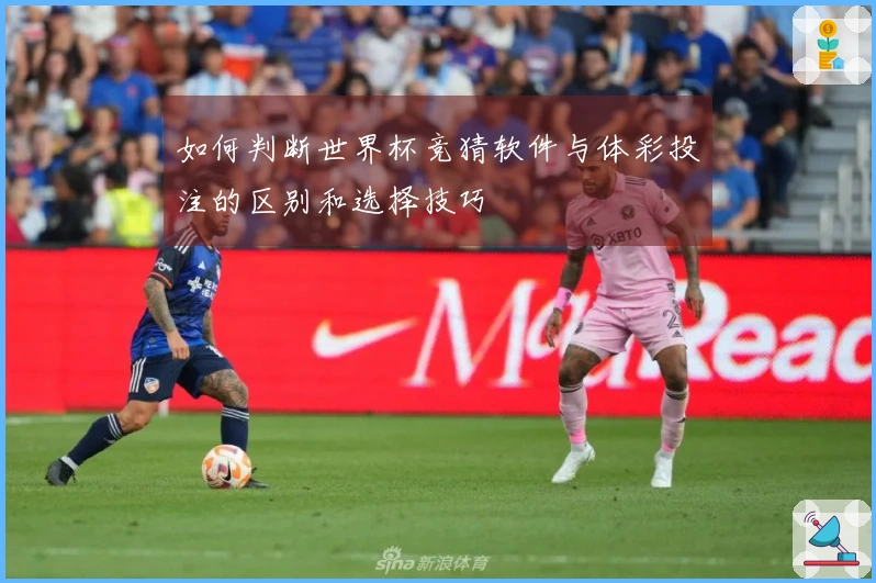 如何判断世界杯竞猜软件与体彩投注的区别和选择技巧