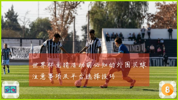 世界杯竞猜活动前必知的外围买球注意事项及平台选择技巧