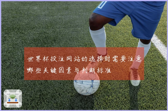 世界杯投注网站的选择时需要注意哪些关键因素与判断标准