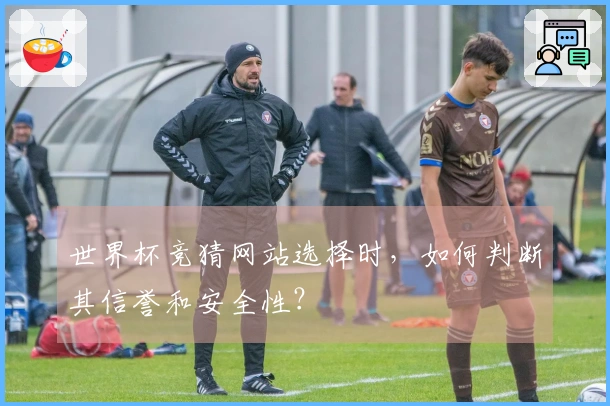 世界杯竞猜网站选择时，如何判断其信誉和安全性？