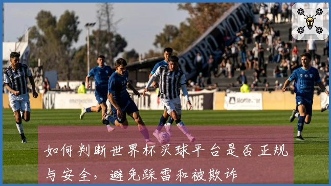 如何判断世界杯买球平台是否正规与安全，避免踩雷和被欺诈