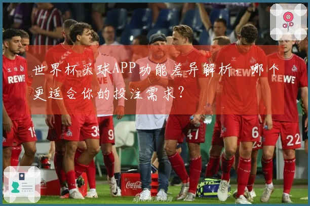 世界杯买球APP功能差异解析，哪个更适合你的投注需求？