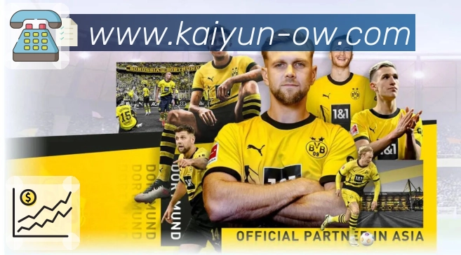 开云APP 体育赛事宣传图